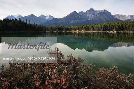 Herbert Lake, Banff Nationalpark, Alberta, Kanada