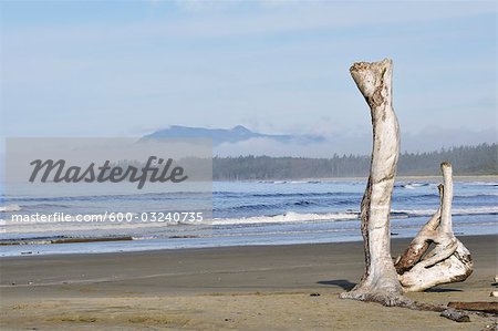 Wickaninnish Beach, Parc National Pacific Rim, île de Vancouver, en Colombie-Britannique, Canada