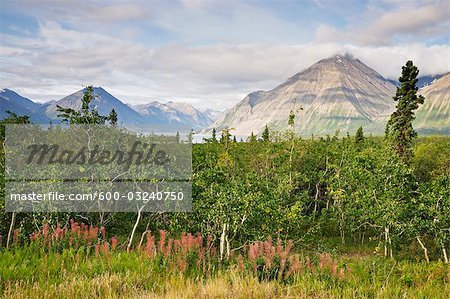 Dalton Range, Kluane Nationalpark und Reserve, Yukon Territorium, Kanada