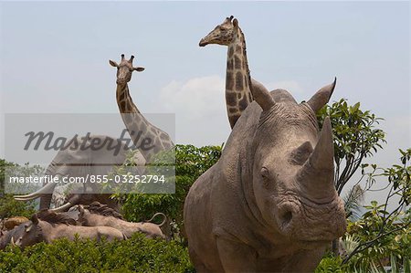 Ark Park, Noah's Ark, Ma Wan, Hong Kong