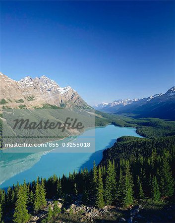 Peyto Lake au sommet de l'arc. Province de Parc National de Banff, Alberta, Canada