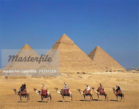 Pyramide et caravane chameau, Égypte