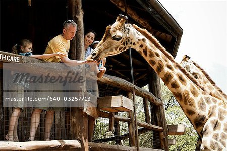 Familie in Kenia, Afrika Giraffen füttern