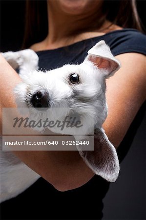 Femme avec un chien blanc sur l'épaule