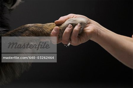 Femme agitant une patte de chien