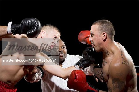Boxer kämpfen