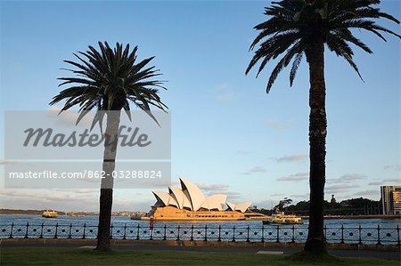 L'emblématique opéra est encadré par des palmiers à la réserve de Daves Point à l'ouest de Sydney Cove