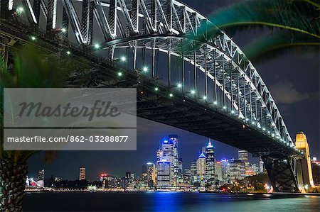 Palm trees lining the waterfront at Milsons Point frame the Sydney Harbour Bridge and skyline of central Sydney