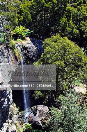 Australia,Tasmania. Waterfall in Gunns Plains.