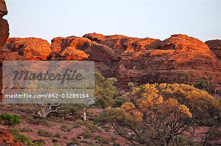Australien, Northern Territory. Am frühen Morgensonnenlicht verleiht den roten Felsformationen am Kings Canyon brillante Farbtöne. Den Bienenstock Domes spiegeln Füge- und Temperaturdifferenz zwischen Gesteinsarten Verwitterung.