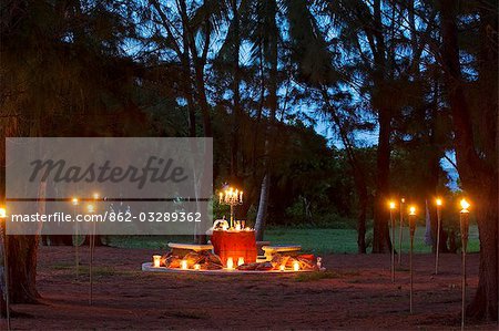 Champagne and canapes served at the table in the Casuarina grove on Little Whale Cay