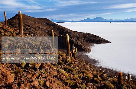 View from the top of Isla de Pescado (Fish Island) across the Salar de Uyuni,the largest salt flat in the world.