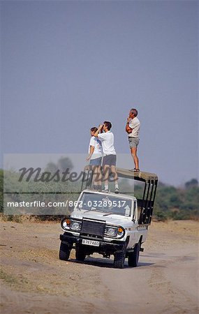 Game viewing from roof of vehicle,Chobe National Park.