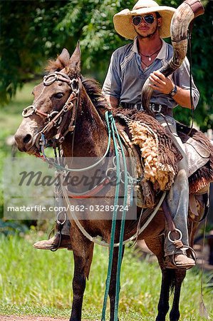 Traditional Pantanal Cowboy,Peao Pantaneiro,on cattle herding duty with traditional horn in the UNESCO Pantanal Wetlands of the Mato Grosso do Sur region of Brazil