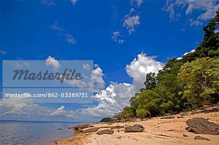 Brazil,Amazon,Rio Tapajos. A tributary of the Rio Tapajos which is itself a tributary of the Amazon provides fanstatic trekking access to the river bank villages.