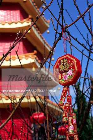 Eine Chinese Lunar New Year Dekoration hängt an einem Baum auf dem Gelände des Klosters zehn Tausend Buddhas, in der Nähe von Sha Tin in den New Territories, Hong Kong