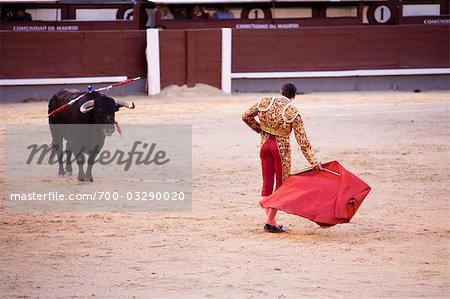 Matador und Bull, Plaza de Toros. Madrid, Spanien