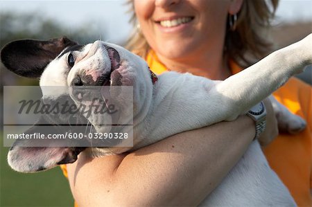 Woman Holding French Bulldog, Vancouver, British Columbia, Canada