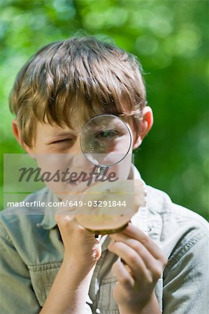 boy examines a mushroom
