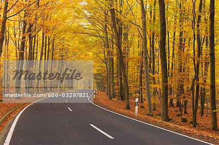 Road, Spessart, Bavière, Allemagne