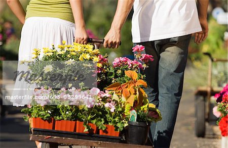 Young couple pulling cart with potted flowers in garden centre, rear view, (low section)