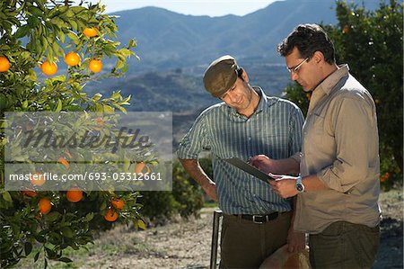 Farmer and man reading in orchard