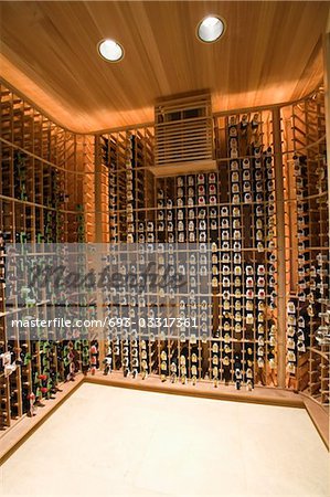 Wine cellar of Palm Springs home