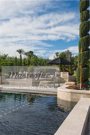 Topiary in garden with poolside sunlounger, Palm Springs