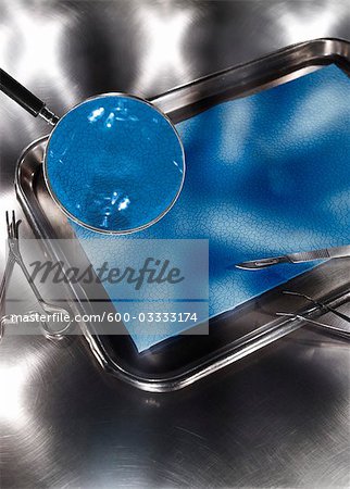 Magnifying Glass Over Dissection Tray