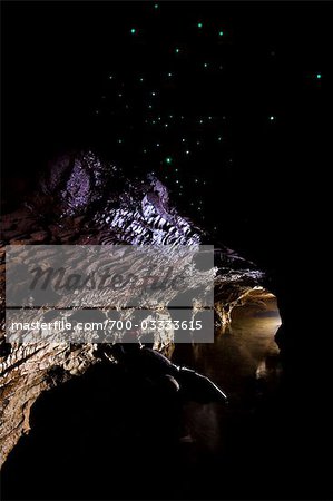 Homme observant les vers luisants dans les grottes de Waitomo, North Island, Nouvelle-Zélande