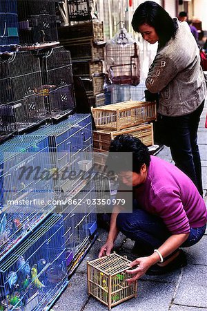 A shop owner removes a bird for a customer from the many cages in the Yuen Po Street Bird Garden in Mong Kok district,Hong Kong.