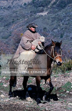 Chili, nord de la Patagonie, Campo Bravo. Un couple porte un agneau sur son cheval volant d'ovins