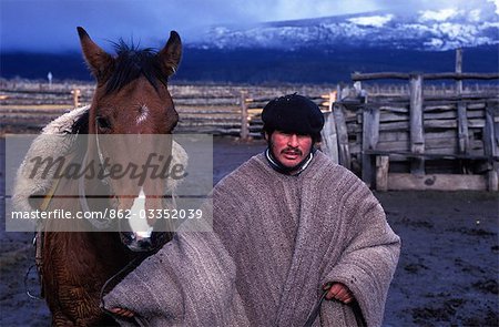 A huaso with his horse