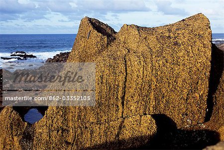 The supine form of a finely chiselled moai or stone head,at Ahu One Makihi on the south coast near to Rano Raraku. Water has collected in the eye of the moai.