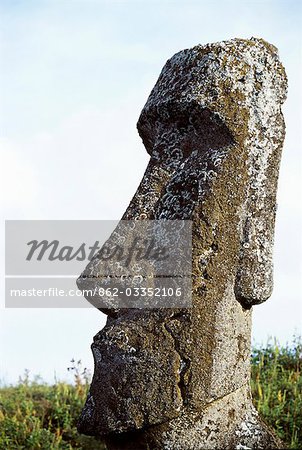 Une tête de pierre finement ciselé ou moai, de presque 400 moais finis qui parsèment les flancs du volcan Rano Raraku prêt pour le transport autour de l'île pour leur ahu prévue ou la plate-forme cérémonielle. La grande majorité des 800++ moais de l'île de Pâques ont été ciselée dans le tuf de volanic du côté de Rano Raraku entre 700-1500AD. Une tête de pierre finement ciselé ou moai, de presque 400 moais finis qui parsèment les flancs du volcan Rano Raraku prêt pour le transport autour de l'île pour leur ahu prévue ou la plate-forme cérémonielle. La grande majorité des 800++ moais de l'île de Pâques ont été ciselée dans le tuf de volanic du côté de Rano Raraku entre 700-1500AD.