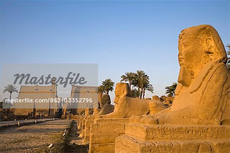 The Avenue of Sphinxes leading up to Luxor Temple,Egypt