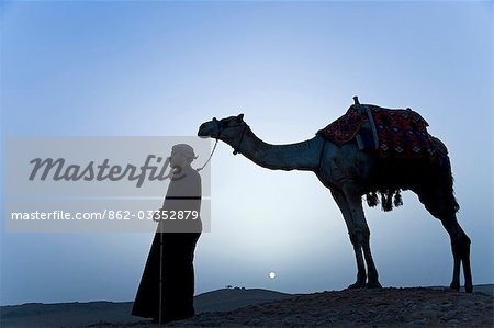 Un bédouin mène son chameau le long du sommet d'une dune au coucher du soleil, Giza, Égypte.