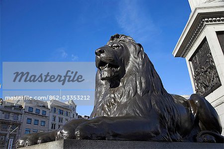 One of the enormous bronze lions standing guard under Nelson's Column in Trafalgar Square. They were designed by Edward Landseer and completed in 1868.