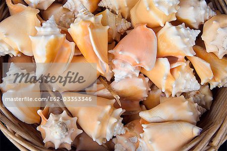 A basket of sea shells for sale at a shop in St Ives,Cornwall,England