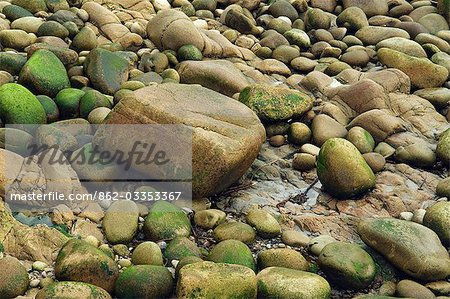 Boulders on the shore of the Cot Valley,Cornwall,England