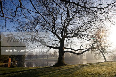Angleterre, Dorset, Thorncombe. Forde Abbey fait partie de la frontière entre le Dorset et Somerset et son élégant ancien monastère cistercien et ses 12 hectares de jardins gagnante de prix situées dans une région de beauté naturelle exceptionnelle en font l'un des endroits touristiques West Dorset. Ici, le grand étang est dominée par la « Beech House » un matin de printemps. Angleterre, Dorset, Thorncombe. Forde Abbey fait partie de la frontière entre le Dorset et Somerset et son élégant ancien monastère cistercien et ses 12 hectares de jardins gagnante de prix situées dans une région de beauté naturelle exceptionnelle en font l'un des endroits touristiques West Dorset. Ici, le grand étang est dominée par la « Beech House » un matin de printemps.