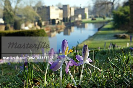 Angleterre, Dorset, Thorncombe. Forde Abbey fait partie de la frontière entre le Dorset et Somerset et son élégant ancien monastère cistercien et ses 12 hectares de jardins gagnante de prix situées dans une région de beauté naturelle exceptionnelle en font l'un des endroits touristiques West Dorset. Crocus tôt le matin donnent sur le lac ornemental. Angleterre, Dorset, Thorncombe. Forde Abbey fait partie de la frontière entre le Dorset et Somerset et son élégant ancien monastère cistercien et ses 12 hectares de jardins gagnante de prix situées dans une région de beauté naturelle exceptionnelle en font l'un des endroits touristiques West Dorset. Crocus tôt le matin donnent sur le lac ornemental.