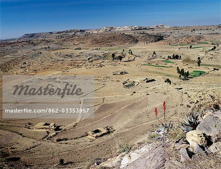 Aloes add a splash of colour to the parched landscape close to Debre Selam Church,near Atsbi in Ethiopia's most northerly region of Tigray.Flat-roofed stone houses,which are common throughout Tigray Province,may have been introduced into Ethiopia from Arabia as early as 700 BC.