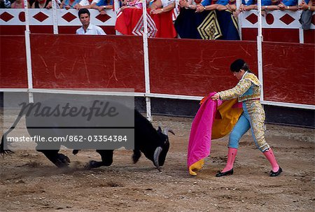 A matador goads the bull to charge with her cape during a bullfight in Autol. In honour of the Women's Day Fiesta it is a female matadora.