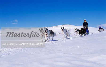 Dog teams and mushers on frozen lake near Umnas