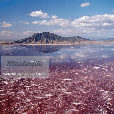 Lake Natron in northern Tanzania is one of the most alkaline of the Rift system. As its waters evaporate in the intense heat,sodium sesquicarbonate,known as trona or natron,solidifies to resemble giant coral heads in brightly coloured water. Visible beyond the lake is Shompole volcano,a dormant volcano,situated on the border of Kenya and Tanzania.