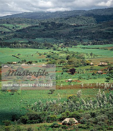 Rich farming country near the Ngorongoro Highlands of Northern Tanzania.