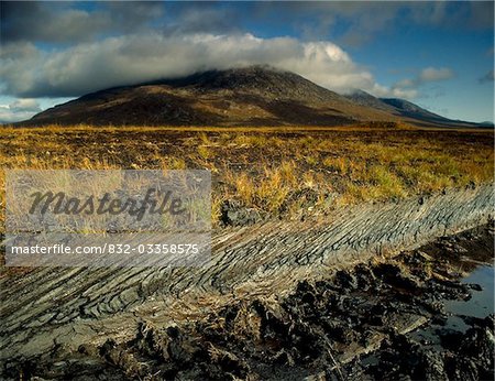 Marsh in der Landschaft Connemara, County Galway, Irland