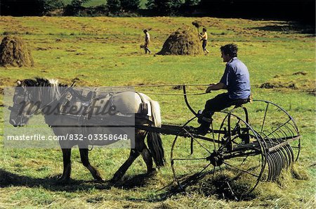 Profil de côté d'un agriculteur de faire du foin, Killaloe, comté de Clare, Irlande