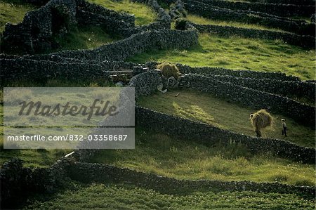 Erhöhte Ansicht steinerne Mauern in ein Ackerland, Inisheer, Aran Islands, County Galway, Irland